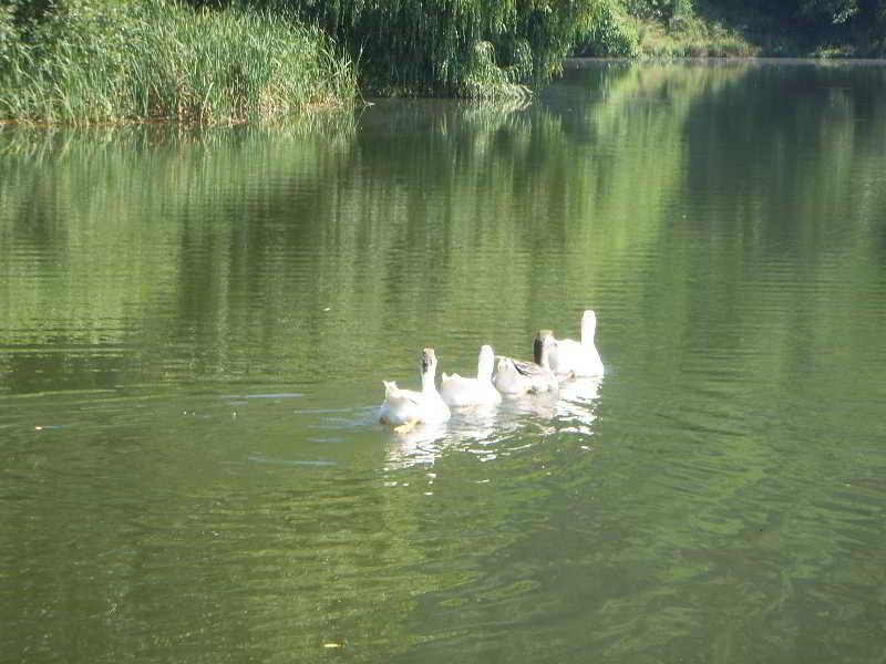 The Lake Villa Smoljan Esterno foto